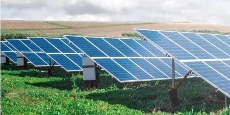 Manfaat energi bersih dari PLTS Tobelo dapat segera dinikmati oleh masyarakat Maluku Utara. (Foto: PLN)