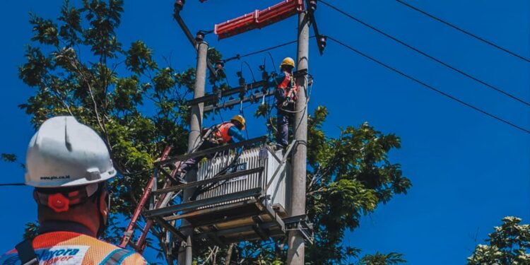 Ilustrasi petugas PLN secara rutin melakukan pemeliharaan infrastruktur untuk menjaga keandalan pasokan listrik bagi masyarakat. (foto Humas PLN)