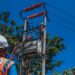 Ilustrasi petugas PLN secara rutin melakukan pemeliharaan infrastruktur untuk menjaga keandalan pasokan listrik bagi masyarakat. (foto Humas PLN)