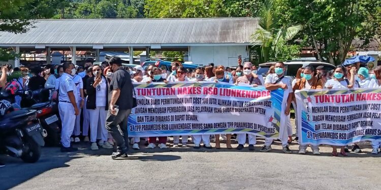 Foto: Aksi unjuk rasa tenaga kesehatan di gedung DPRD Kabupaten Kepulauan Sangihe. (Dok. Istimewa)