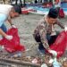 310 Kg Sampah Terangkat dari Pantai Karangria, Kolaborasi MUI, TKNPSL dan Seasoldier Sulut