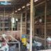 Elektrifikasi PLN bisa mendongkrak produktivitas Pangi Farm, salah satu mitra binaan. (foto: Humas PLN)