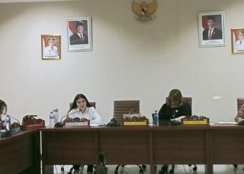 Dea Lumenta Soroti Progres NIB di Sulut, Tahlis Galang Sebut Baru 4 Persen Berizin  