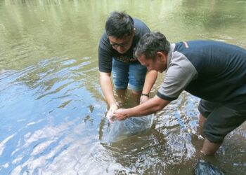 IKA Polimdo–KMPA Tansa Bergerak: Bersih Sungai, Tebar 100 Benih Ikan dan Bagikan Bibit Tanaman