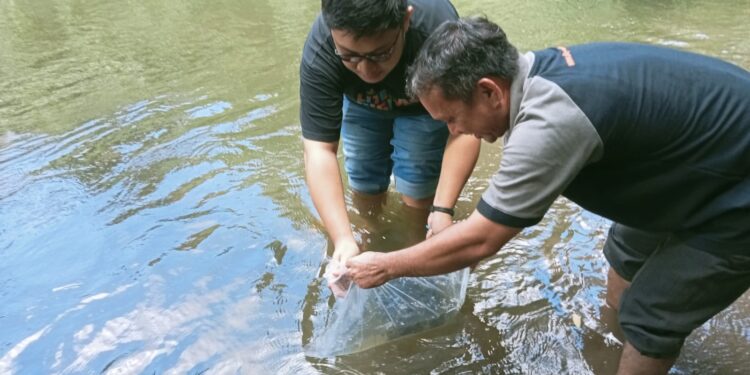 IKA Polimdo–KMPA Tansa Bergerak: Bersih Sungai, Tebar 100 Benih Ikan dan Bagikan Bibit Tanaman