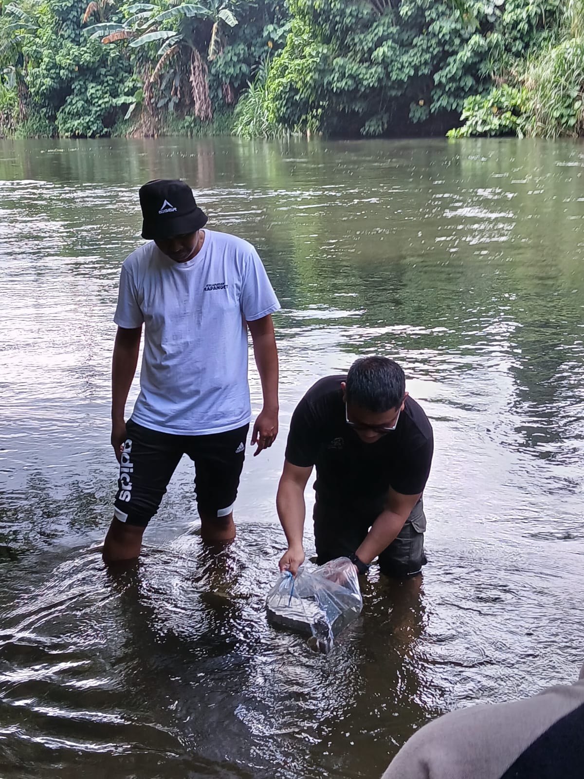 Ketua Karang Taruna Kelurahan Kairagi Satu, Switly Stefan Peginusa, S.ST., MT bersama Ketua Lingkungan II, Hanny Mandak melepaskan benih ikan Mujair. (Foto : istimewa)