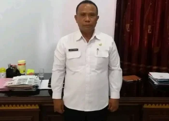Kepala Satuan Polisi Pamong Praja dan Pemadam Kebakaran Talaud, Adrianson Taarega.