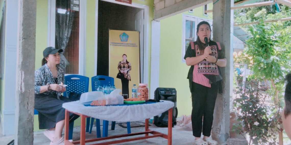 Reses Nusa Utara: Vionita Kuera Temukan Masalah Listrik, Air Bersih hingga Infrastruktur