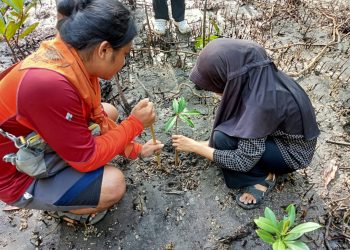 Semangat Konservasi di Pantai Saidan, Artsas Family Edukasi dan Tanam Bibit Mangrove