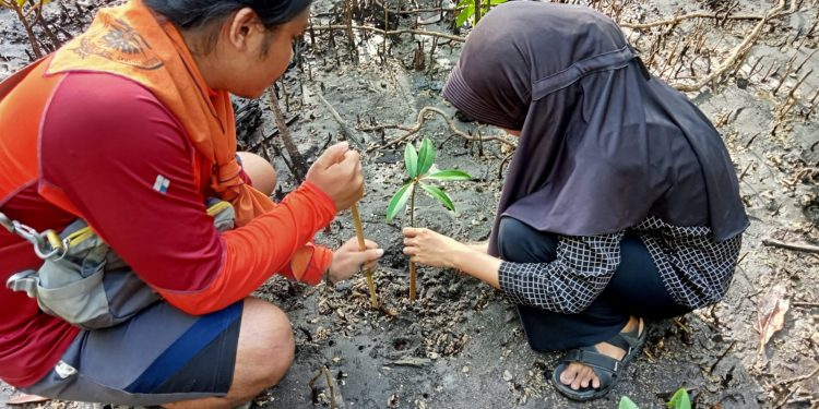 Semangat Konservasi di Pantai Saidan, Artsas Family Edukasi dan Tanam Bibit Mangrove