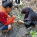 Semangat Konservasi di Pantai Saidan, Artsas Family Edukasi dan Tanam Bibit Mangrove