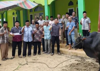 Foto: Bupati Michael Thungari menyerahkan hewan kurban. (Dok. Istimewa)