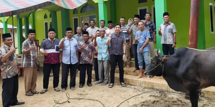 Foto: Bupati Michael Thungari menyerahkan hewan kurban. (Dok. Istimewa)