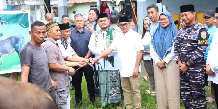 Plt Bupati Heronimus Makainas Serahkan Hewan Kurban Bantuan Presiden dan Pemkab Sitaro