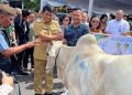 Difasilitasi Plt Bupati Sitaro, Masjid Al Jihad Ulu Siau Terima Bantuan Hewan Kurban dari Gubernur