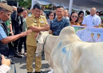 Difasilitasi Plt Bupati Sitaro, Masjid Al Jihad Ulu Siau Terima Bantuan Hewan Kurban dari Gubernur