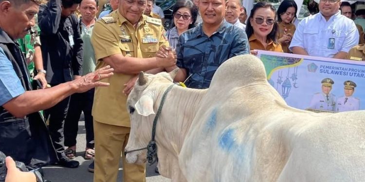 Difasilitasi Plt Bupati Sitaro, Masjid Al Jihad Ulu Siau Terima Bantuan Hewan Kurban dari Gubernur