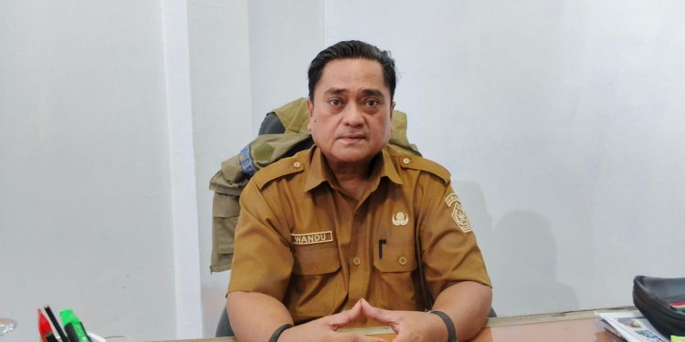Foto: Kepala BPBD Kabupaten Kepulauan Sangihe, Wandu Labesi. (Dok. Rendy/Barta1)