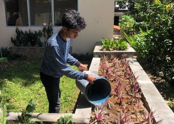 Membangun Green Business melalui Pembelajaran Bahasa Inggris di Pendidikan Vokasi
