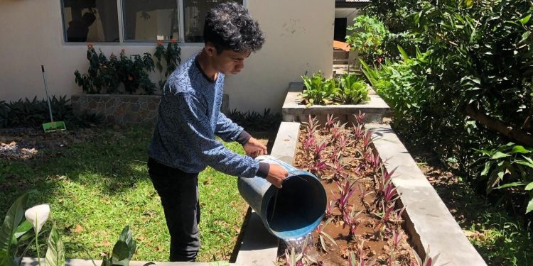 Membangun Green Business melalui Pembelajaran Bahasa Inggris di Pendidikan Vokasi