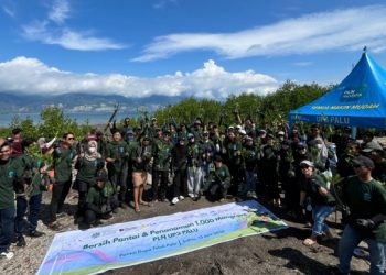 PLN UP3 Palu melakukan penanaman bibit mangrove di Pesisir Teluk Palu. (foto: Humas PLN)