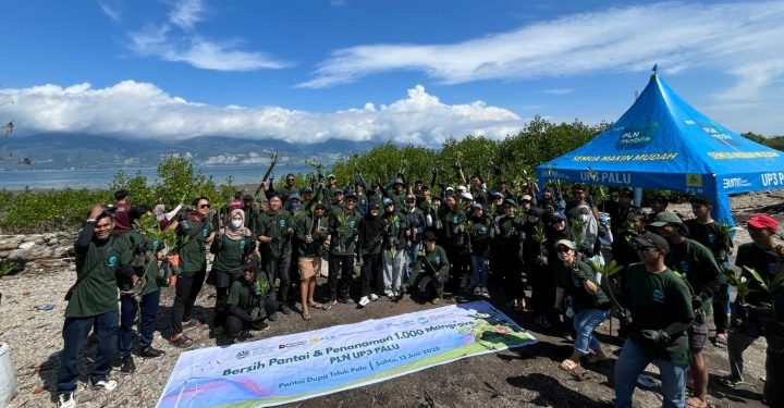 PLN UP3 Palu melakukan penanaman bibit mangrove di Pesisir Teluk Palu. (foto: Humas PLN)