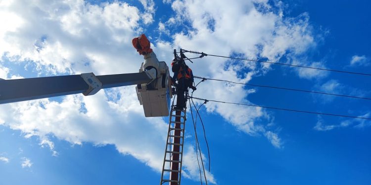 Langkah sigap PLN memperbaiki jaringan listrik untuk warga Kota Palu. (Foto: Humas PLN)