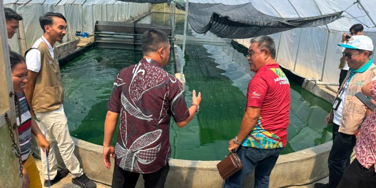 Foto: PLN dorong budidaya spirulina, perkuat ketahanan pangan dan ekonomi masyarakat pesisir. (Dok. Istimewa)