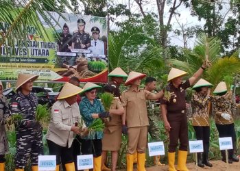 Foto bersama saat panen padi di persawahan desa Ambela.