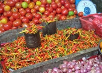 Foto: Harga Cabai rawit di Sangihe naik. (Dok. Istimewa)