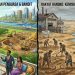 Ilustrasi (Gambar: Info AI/Barta1)