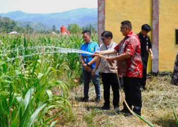 Satu lagi kinerja PLN yang Hadirkan Ekosistem Pengairan Modern Berbasis Listrik untuk Kelompok Tani Torout Jaya. (foto: Humas PLN)