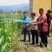 Satu lagi kinerja PLN yang Hadirkan Ekosistem Pengairan Modern Berbasis Listrik untuk Kelompok Tani Torout Jaya. (foto: Humas PLN)