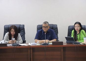 Cindy Wurangian: Perda TJSLBU Harus Tepat Sasaran, Jangan Sampai Menyusahkan Masyarakat
