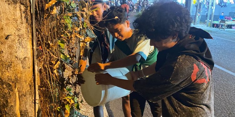 Cegah Pohon Mati dan Roboh, KMPA TANSA-KPA Silvaterra Gelar Aksi Penyiraman