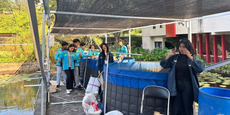 Mahasiswa Teknik Elektro Polimdo Kembangkan Kolam Terpal Cerdas untuk Dorong Kemandirian Finansial