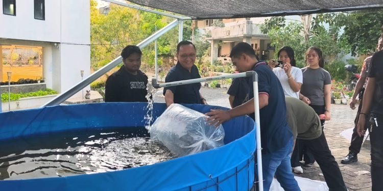 AQUAFORGE Polimdo Kembangkan Kolam Terpal Modular untuk Dukung Ketahanan Pangan Berkelanjutan