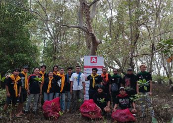 Alfamidi Bersama KMPA Tansa Bersihkan Mangrove dari Sampah Plastik