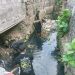 Sambut Sumpah Pemuda, KPAB Chiroptera Gelar Aksi Bersih Sungai di Bailang